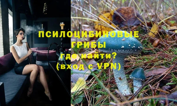 ешки Куйбышев