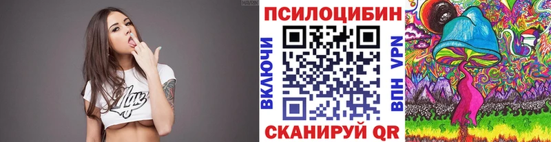 Псилоцибиновые грибы Cubensis  Купить где  Хадыженск 